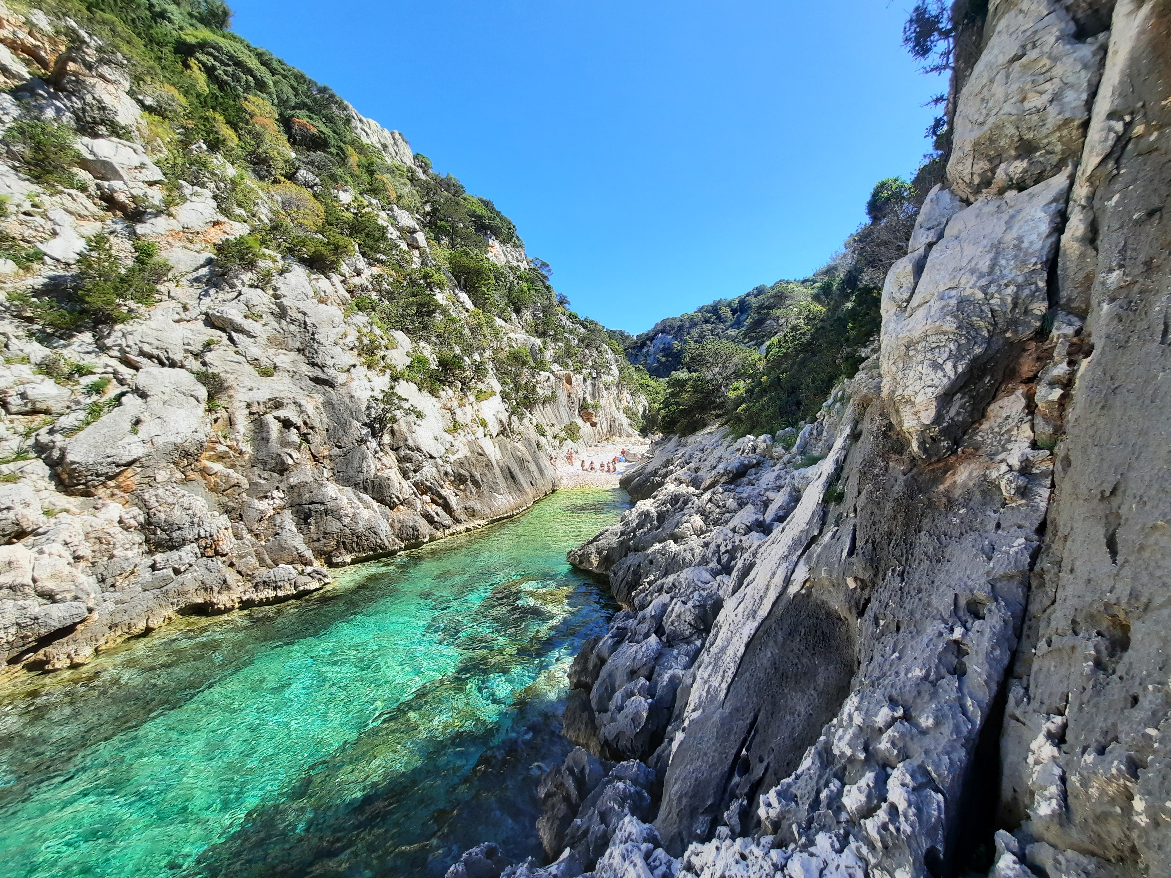 Selvaggio Blu con Guida Alpina Porto Pedrosu