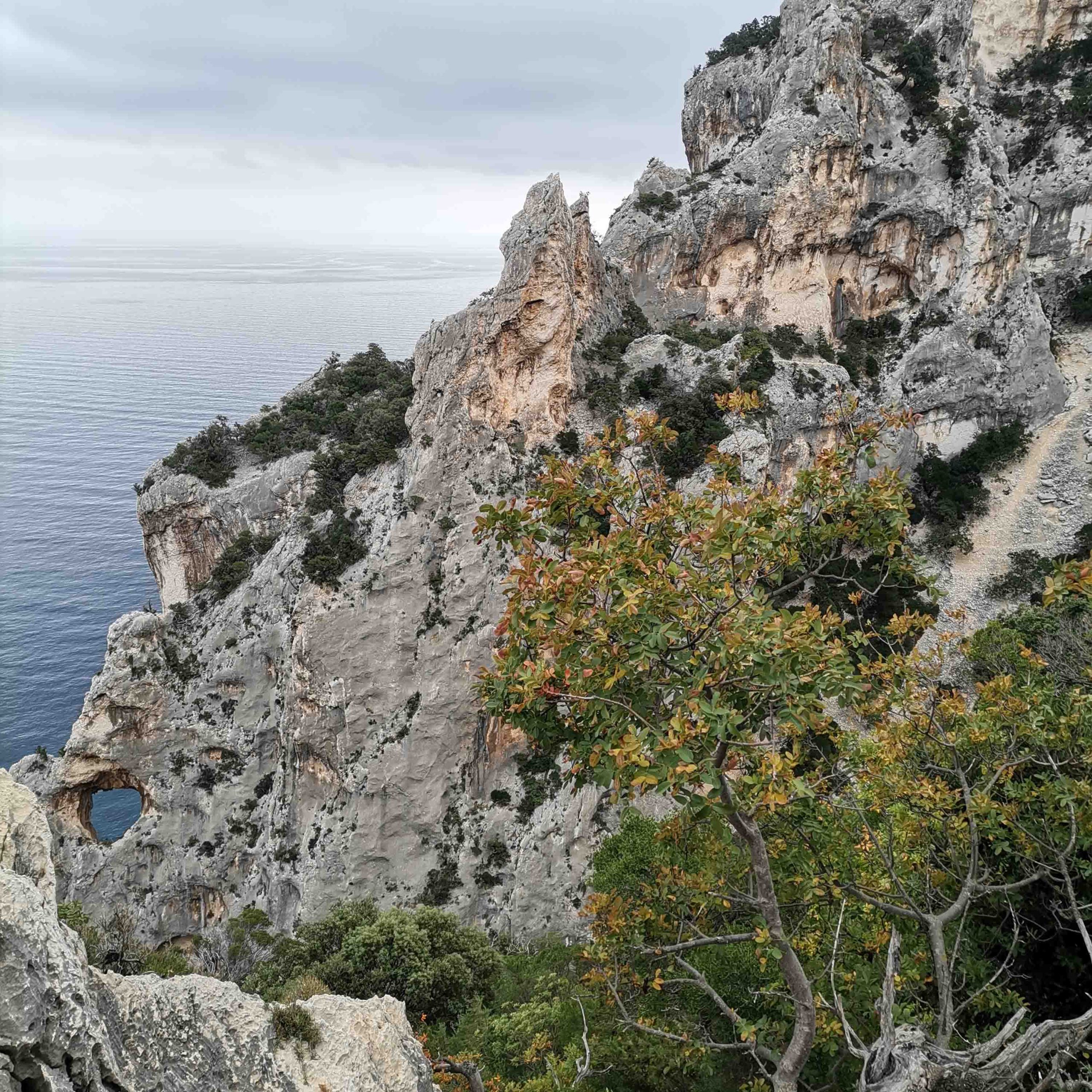 Creste Bacu Padente. Bacu Padente Ridges.