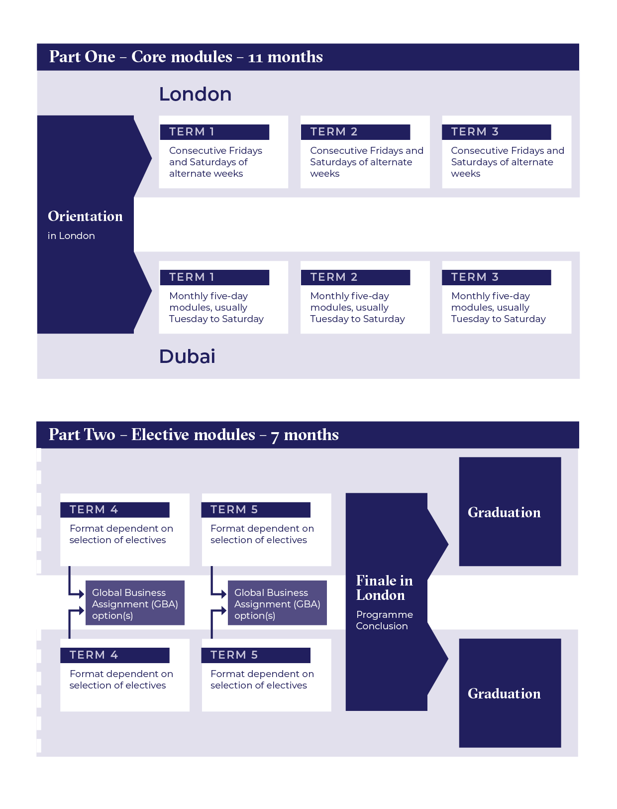 EMBAD Programme Structure NEW