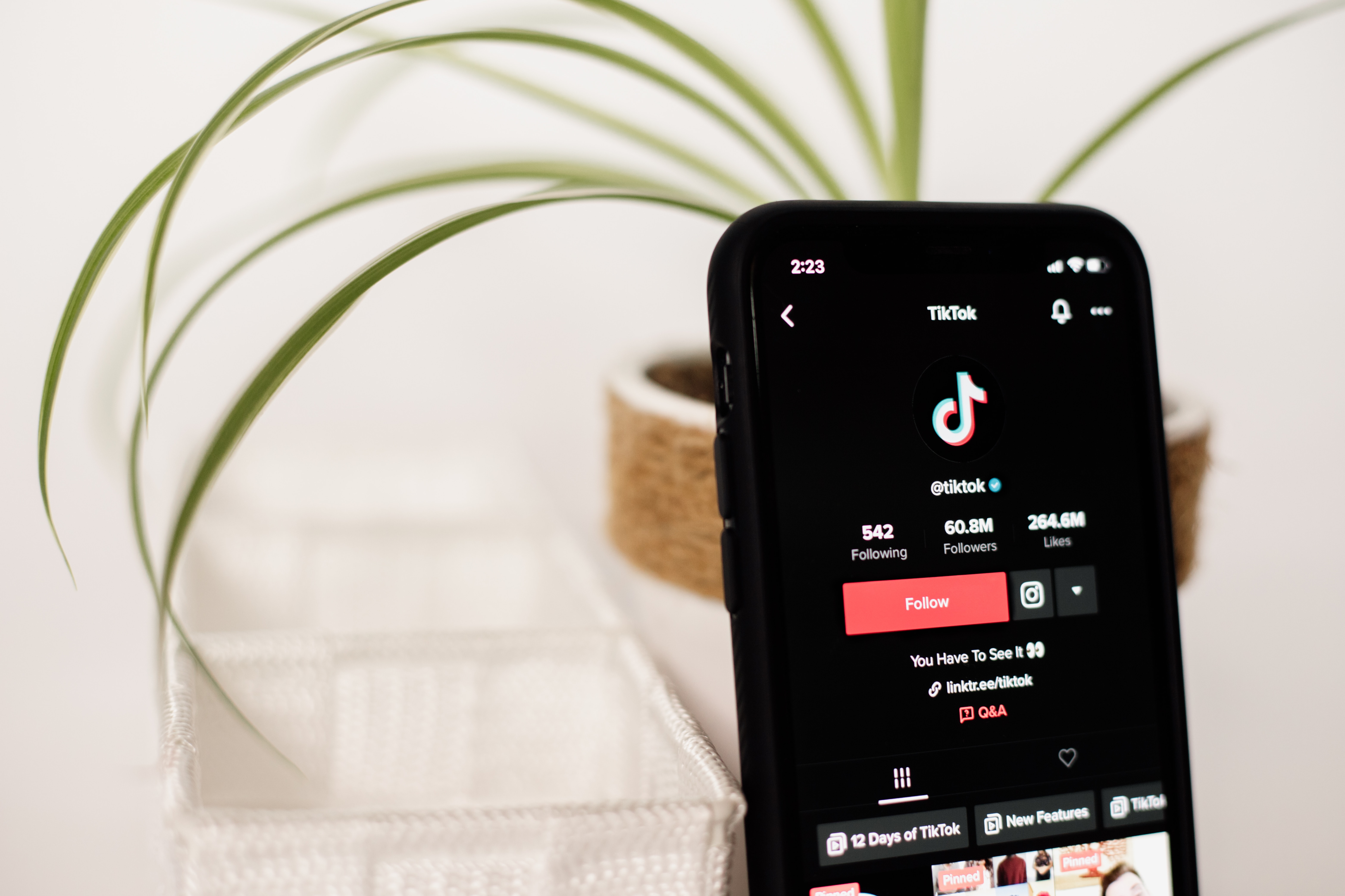 TikTok, a social media platform used by UGC creator