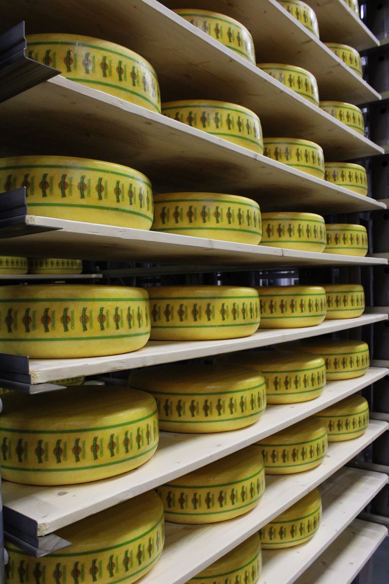 Leerdammer Italy image