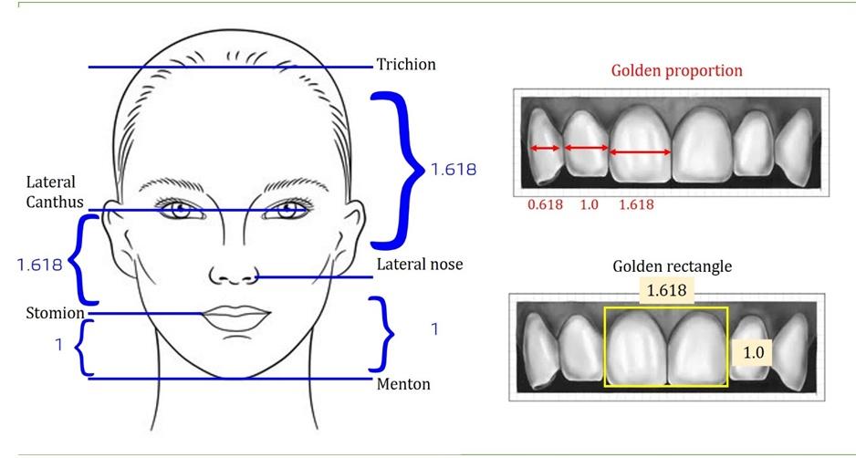 Οι αναλογίες του προσώπου και το golden ratio παίζουν σημαντικό ρόλο στον αισθητικό σχεδιασμό χαμόγελου και στη δημιουργία συμμετρίας.
