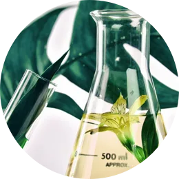 Ingredient Transparency