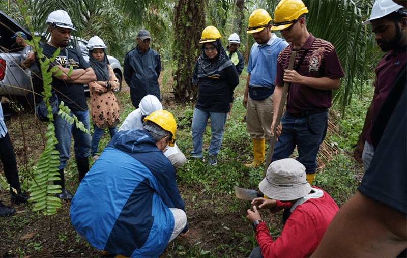 Nuestro Progreso por los Bosques Sostenibles