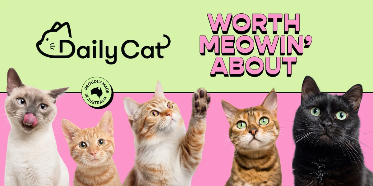 Daily Cat