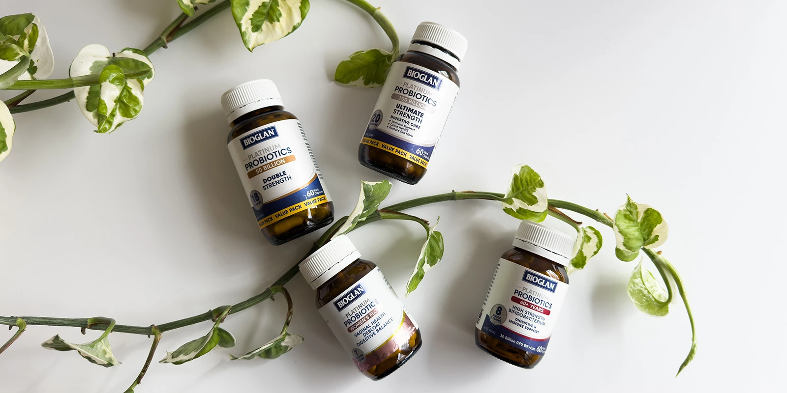 2025, Q3 - September | Blog Article - Bioglan | Trust Your Gut: Australia's Highest Strength Probiotic is Here: Main