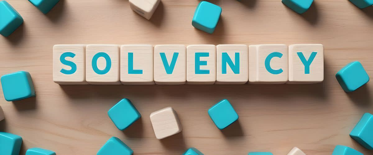Solvency: The word is spelled out with wooden blocks.