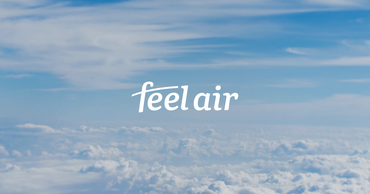 Feel Air Holdings