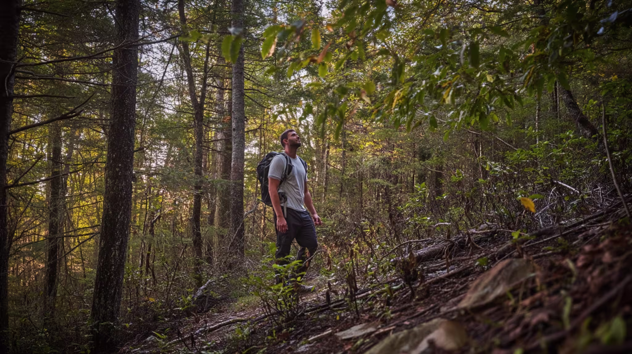 What to Do in the First 24 Hours After Getting Lost