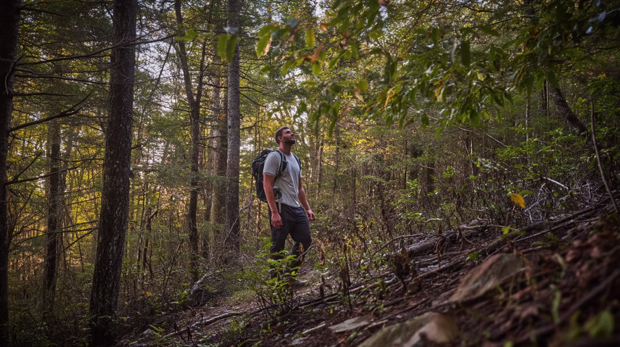 What to Do in the First 24 Hours After Getting Lost