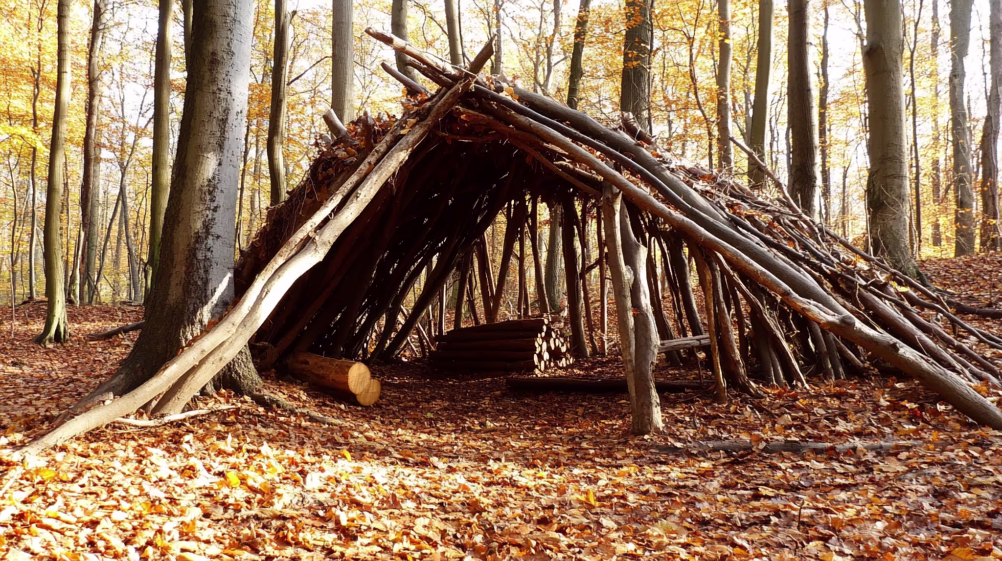 6 Primitive Skills You Need Before Society Goes Dark