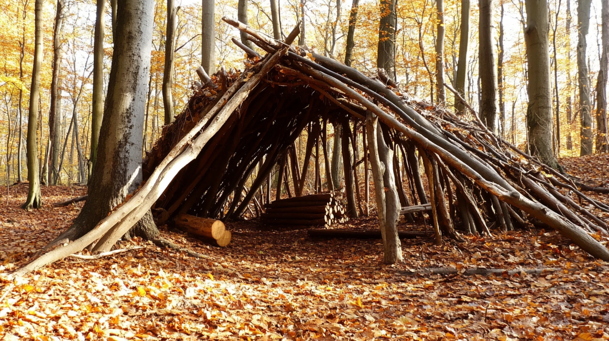 6 Primitive Skills You Need Before Society Goes Dark