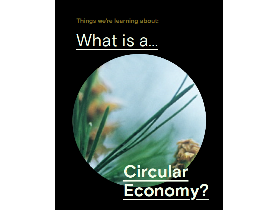 Grass and sky. Headline reads, What is a Circular Economy?