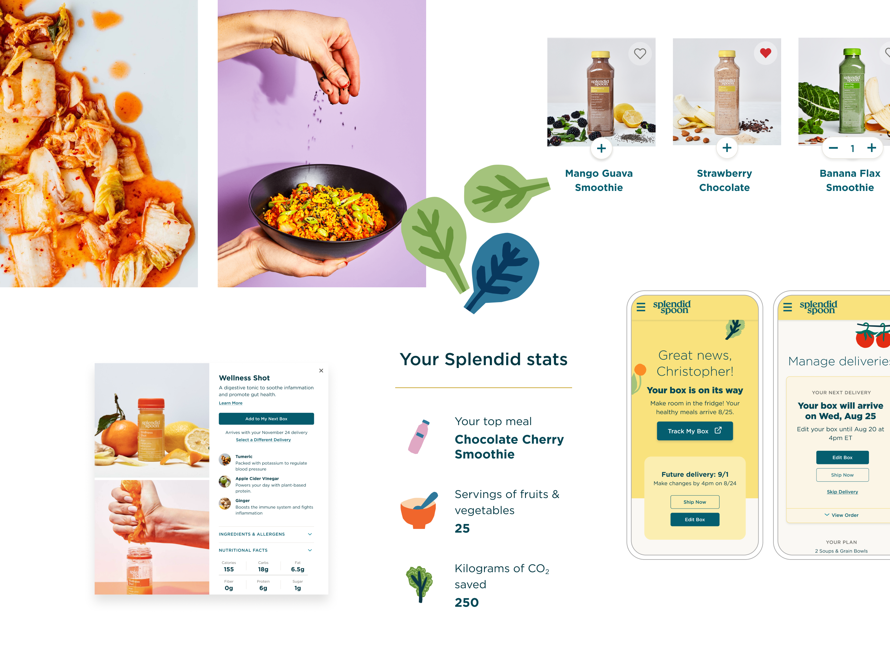 Splendid Spoon graphics including product names, Your Splendid Stats, and welcome screens that read Your Box is on its way