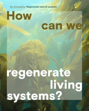Animated seaweed underwater, with text asking "How can we regenerate living systems?" Answer: With circular thinking.