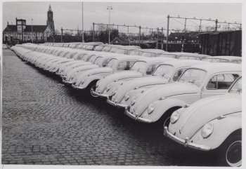 group of Volkswagen beetle cars lined up in a row