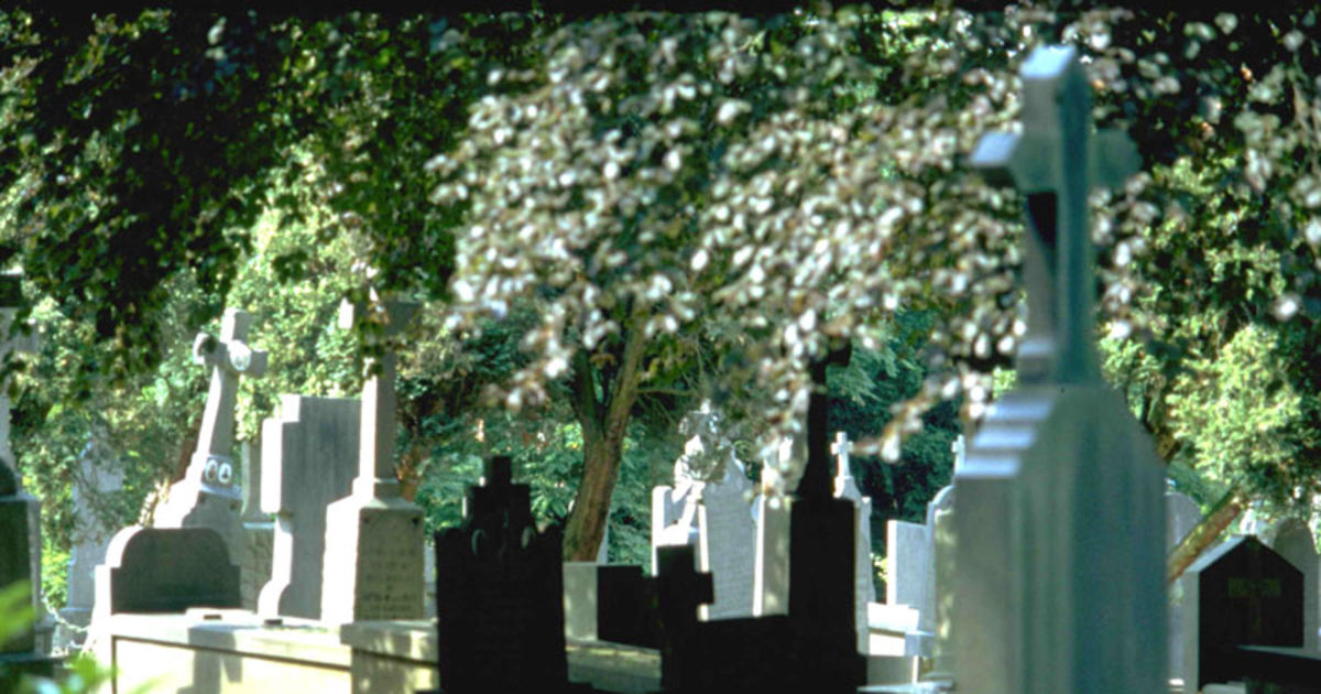 Microscope Graveyard Sign Graveyard symbols: architectural markers of life and death | Europeana