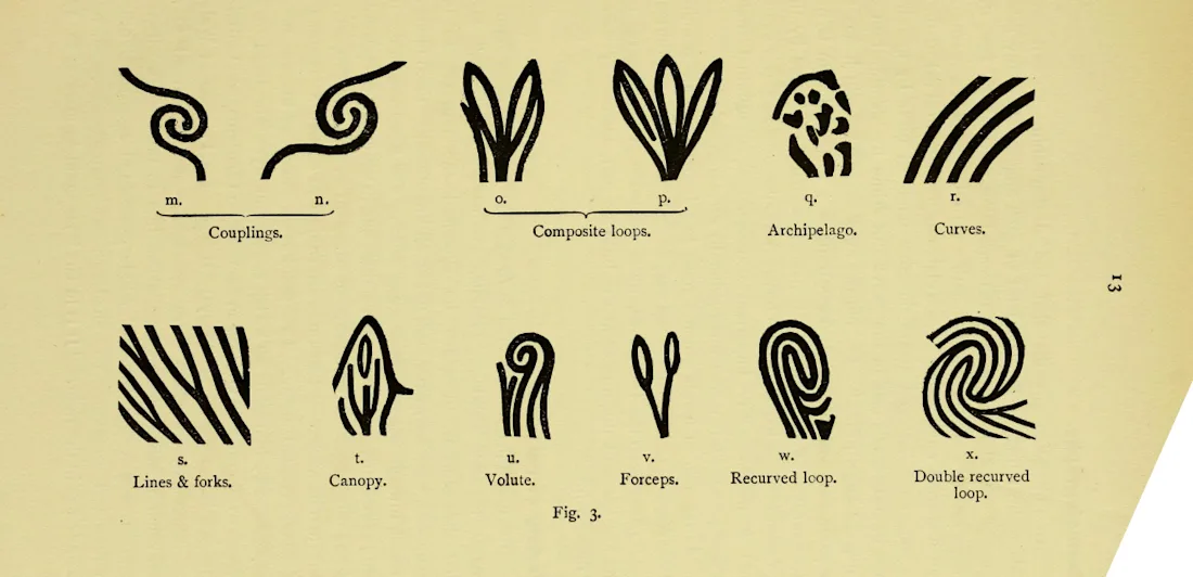 Two rows of different curved patterns