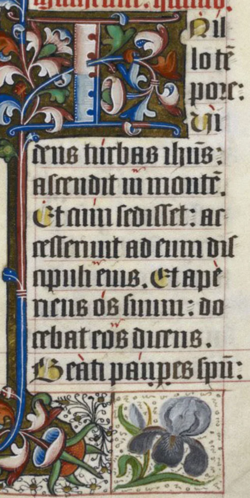 Red melodic marks in the Sarum Gospel lectionary