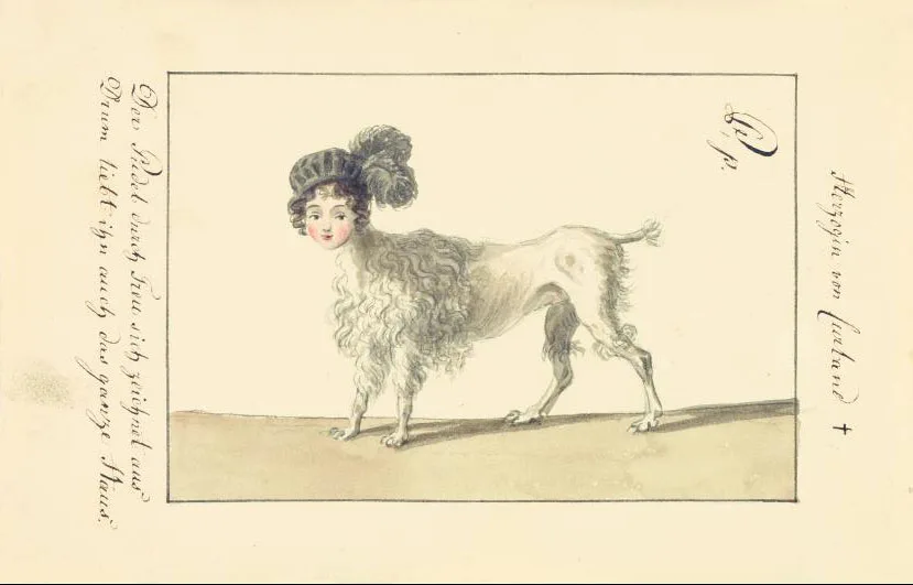 illustration of the head of a woman on the body of a dog 