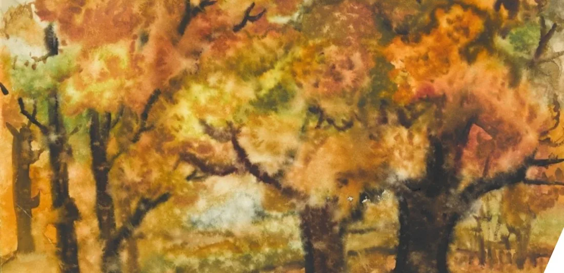 Trees in autumn with orange leaves