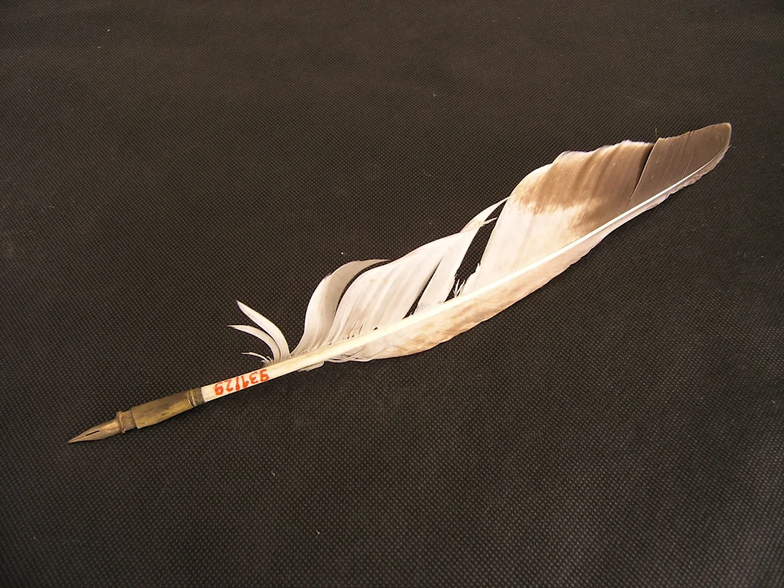 A quill