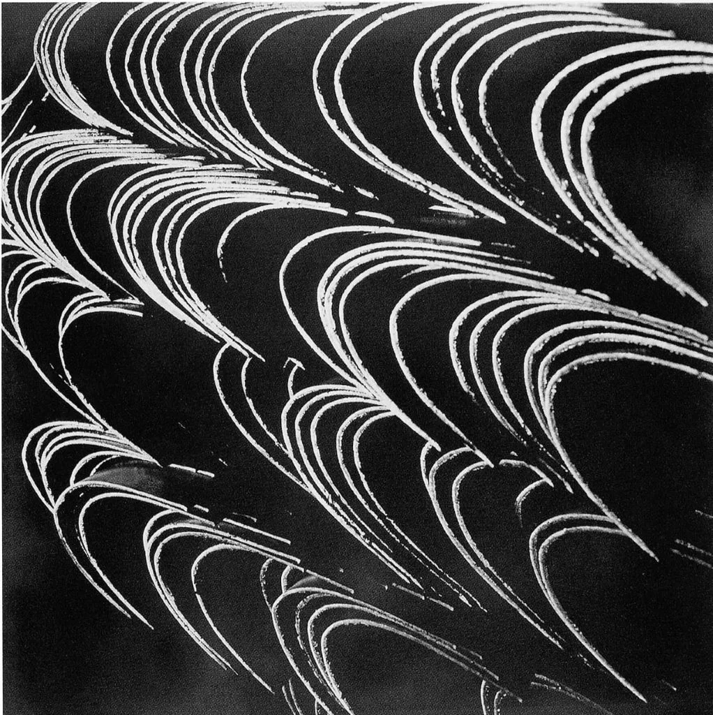 Abstract black and white image showing repeating curved, wave-like white lines on a dark background.