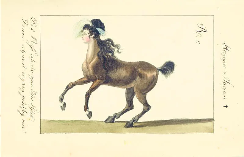 colour illustration with head of a woman on the body of a horse
