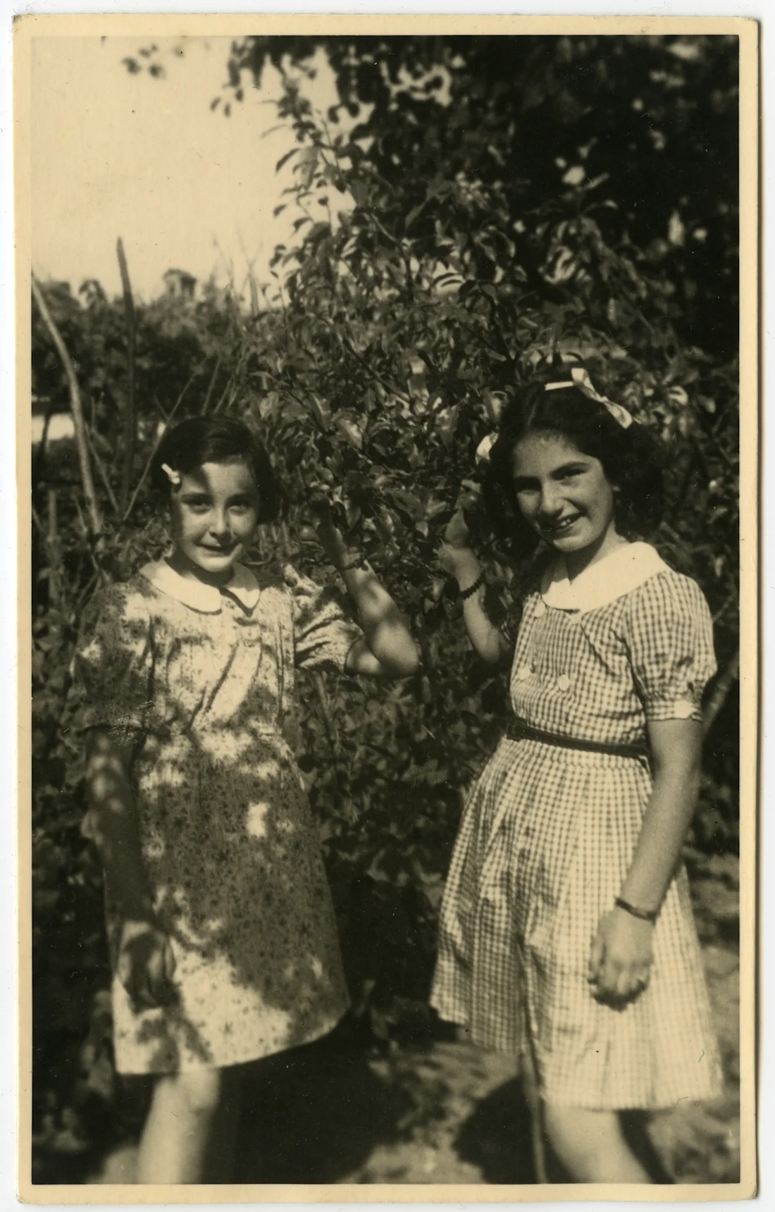 De beveiligde Chanoeka-vieringen van Joden in Nederland, image size:1100x1720