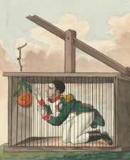 Esser Wijnand, 'Napoleon in de rattenval', Rijksmuseum