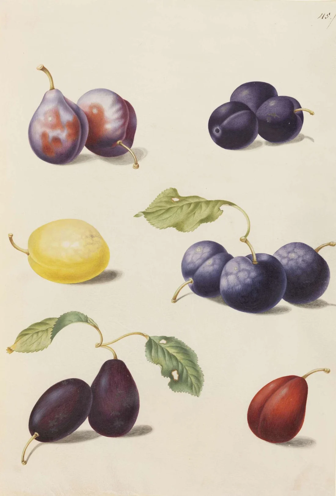 Slow Ways – Cymraeg / Welsh – UrbanGood, image size:1100x1624