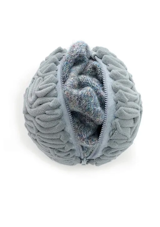 A soft, gray, brain-shaped object with a zipper partially opened, revealing a textured inner fabric.