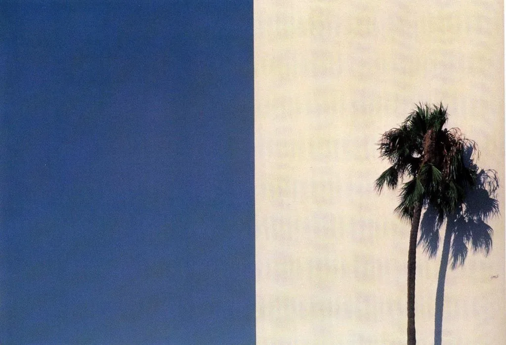 Urban landscape, Los Angeles - a rectangle split in half, one side blue, one side white with a palm tree and its shadow