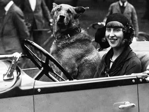 černobílá fotografie Suzy Solidor, která sedí v autě s velkým psem sedícím vedle ní