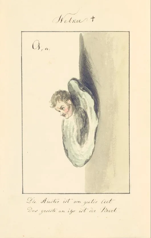 colour illustration showing a man's head in an oyster shell