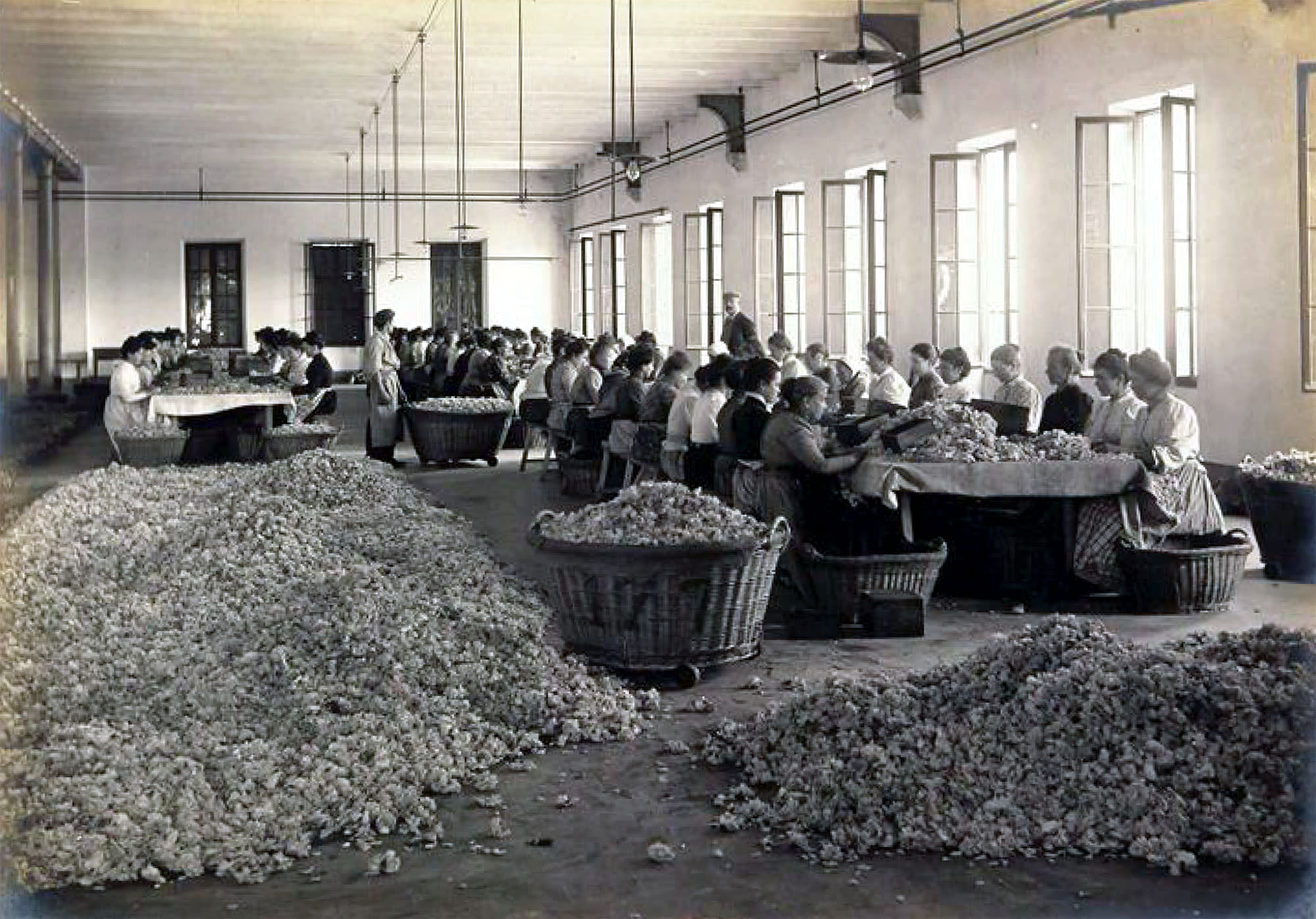 Photographie en noir et blanc, un groupe de personnes assises à de longues tables travaillant à séparer les pétales de fleurs.