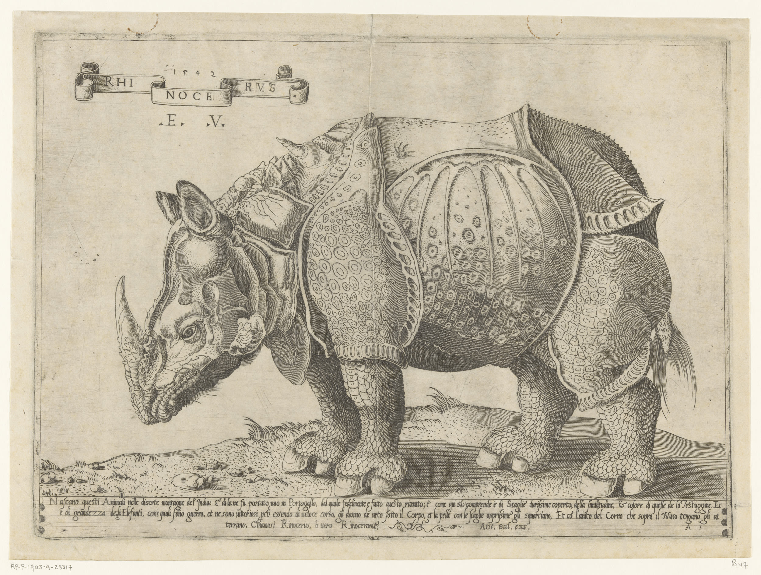 black and white illustration of a rhinoceros, standing and facing left.