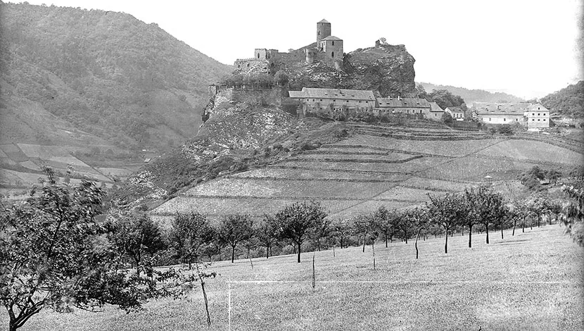 black and white photograph of a castle on a hill with meadows and trees in the foreground