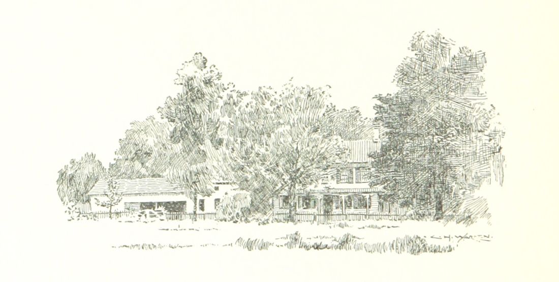 illustration of trees in front of a house and shed.