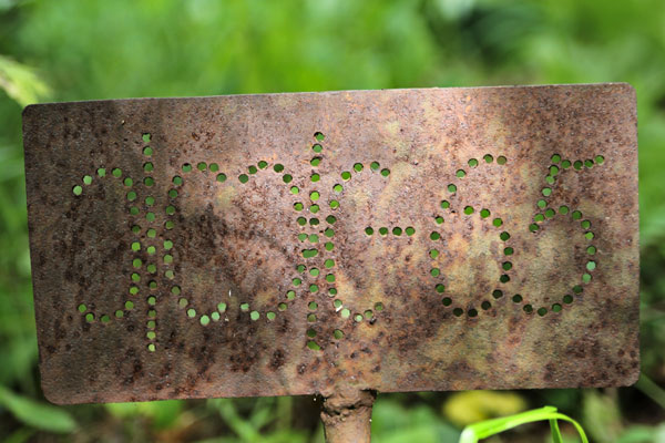 colour photograph of a rusted metal sign