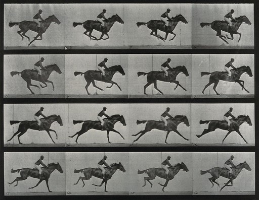 The Science of Movement: Eadweard Muybridge | Europeana