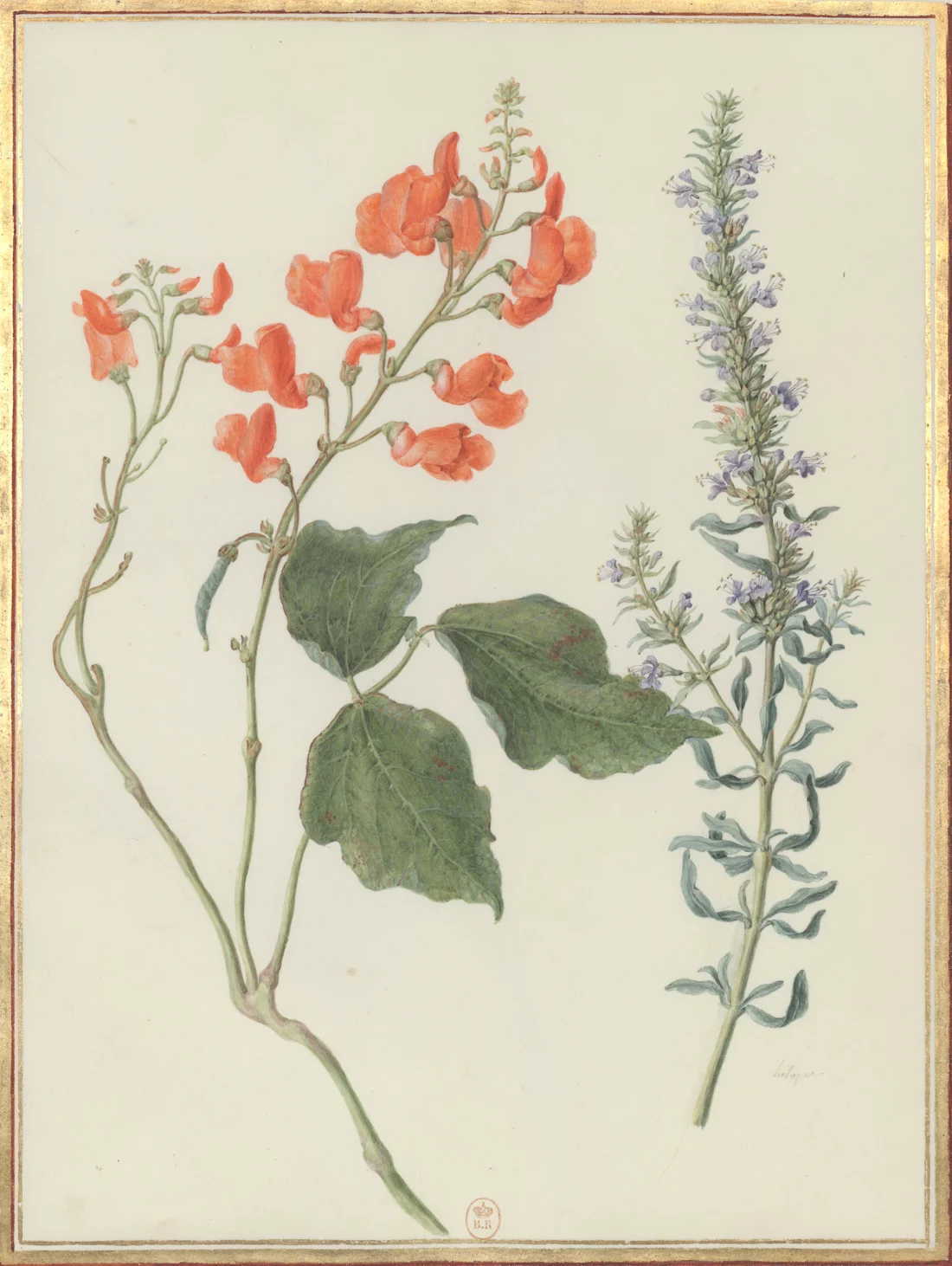 Na hÁiteanna is Fearr le Cuairt a Thabhairt orthu san Nua-Shéalainn, image size:1100x1462