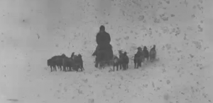 Footage from Amundsen's journey