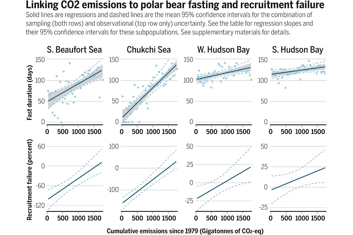 The graphs from the Amstrup Bitz Research Paper