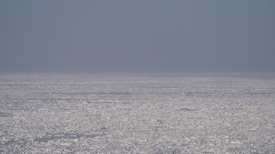 Frozen sea ice with a grey sky