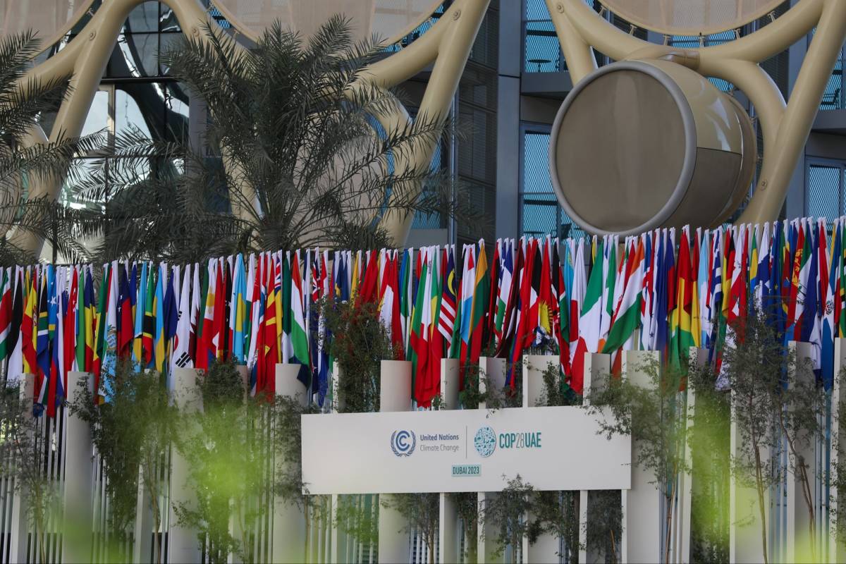 Country flags lined up at COP28 in Dubai