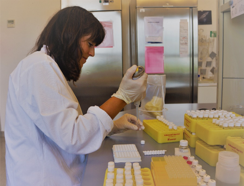 Anna Hein performs steroid hormone extractions in the lab