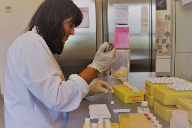 Anna Hein performs steroid hormone extractions in the lab