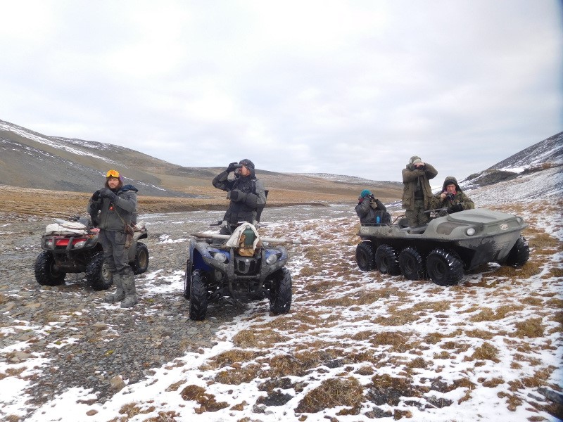Russian polar bear researchers on Wrangel Island