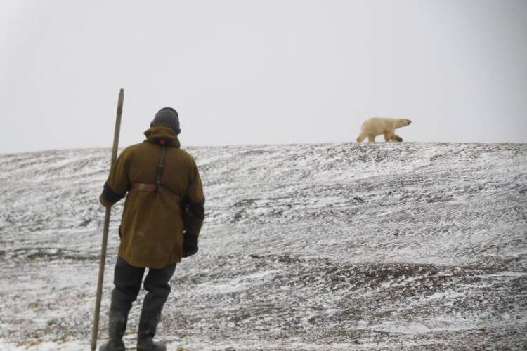 A Russian researcher keeps an eye on a nearby polar bear